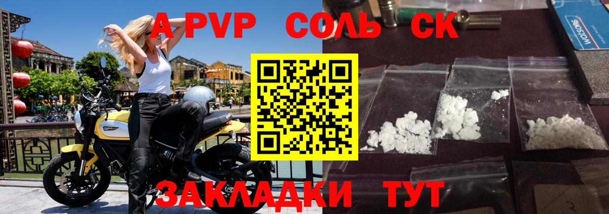 A PVP СК КРИС Гатчина