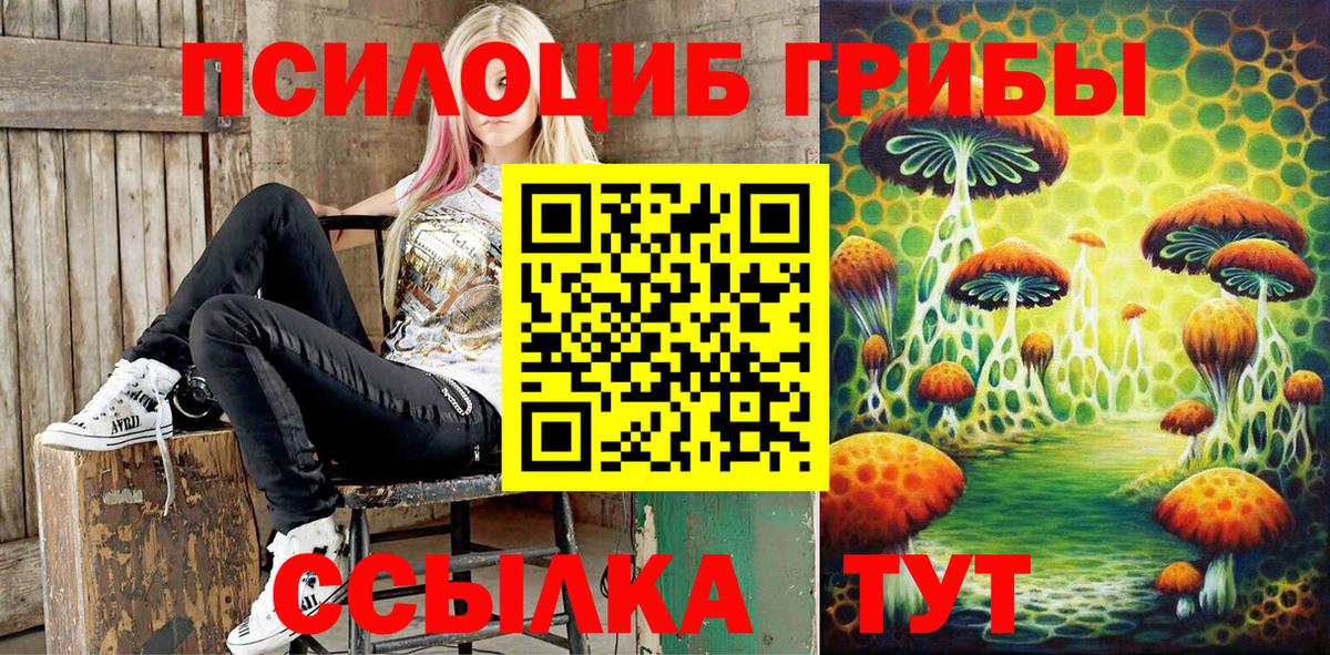 Псилоцибиновые грибы GOLDEN TEACHER  Вход с VPN  где можно купить   Гатчина 